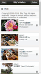 Mobile Screenshot of billyting.fotop.net